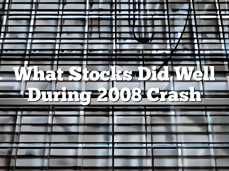What Stocks Did Well During 2008 Crash