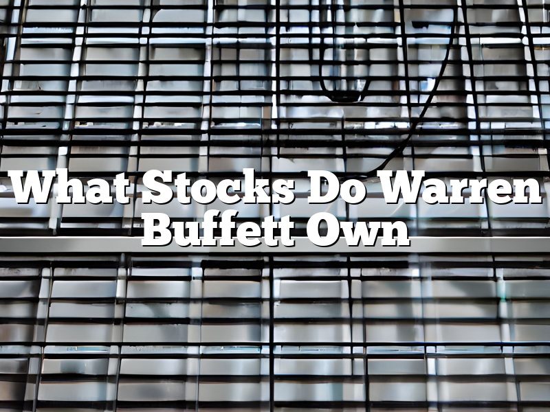 What Stocks Do Warren Buffett Own