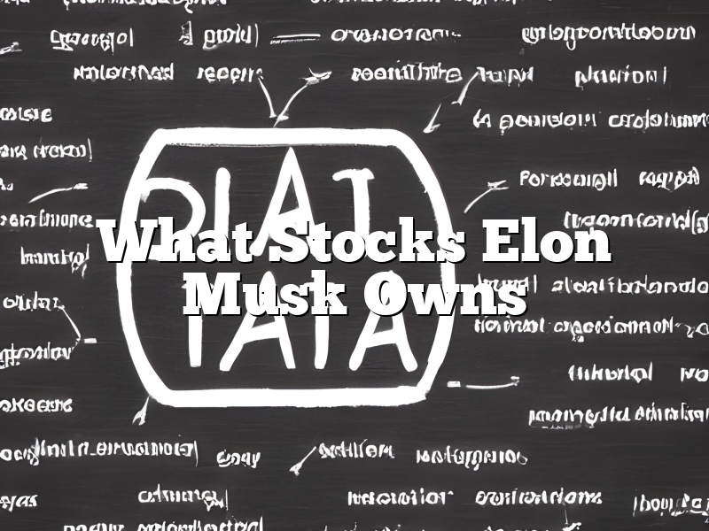 What Stocks Elon Musk Owns