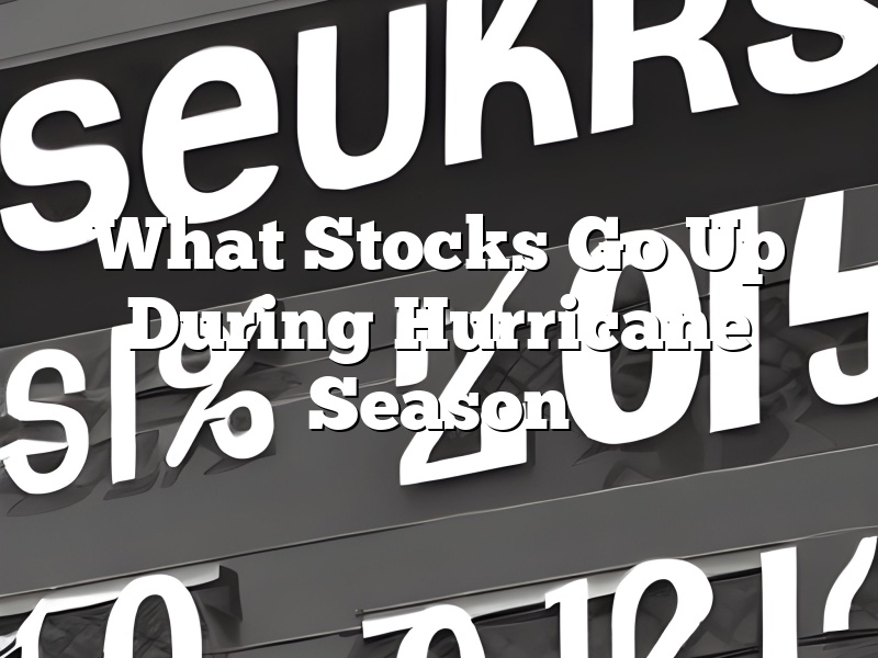 What Stocks Go Up During Hurricane Season